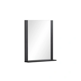 Spiegelelement »Janne«, BxHxT: 60 x 71 x 12,3 cm, gruen