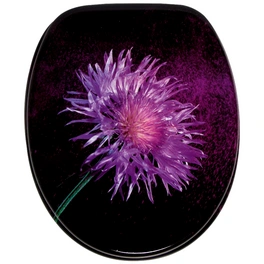 WC-Sitz, BxL: 37,7 x 47 cm, Purple Dust