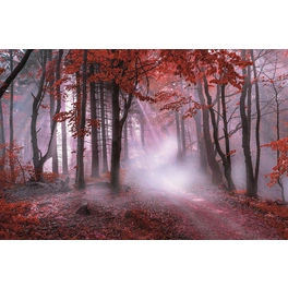 Keilrahmenbild Mystischer roter Wald, 78x118 cm