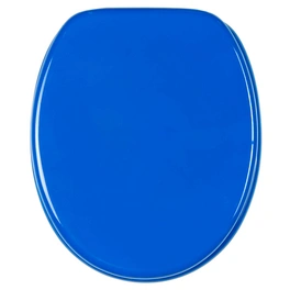 WC-Sitz, BxL: 37,7 x 47 cm, Blau