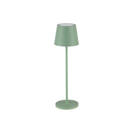 Außenleuchte »Seina «, LED, olive