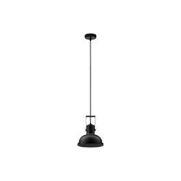 Pendelleuchte »Ruvi «, LED, 1-flammig, schwarz