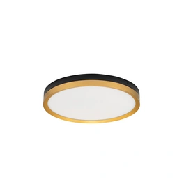 Deckenleuchte »Cantria «, LED, 31 W, Höhe: 5 cm, schwarz/goldfarben