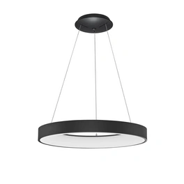 Pendelleuchte »Rando Thin«, LED, 50 W, Höhe: 120 cm, schwarz