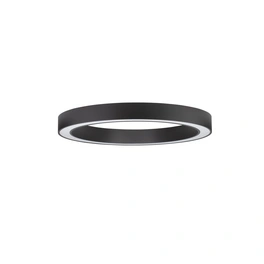 Deckenleuchte »Morbido «, LED, 59 W, Höhe: 8 cm, schwarz