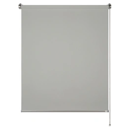 Rollo »Tizia«, Format: 120 x 150 cm, hellgrau, Polyester