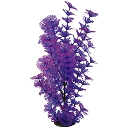 Aquariendekoration, violett