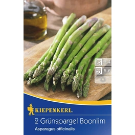 Asparagus »Boonlim«, 2 Stück