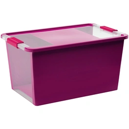 Aufbewahrungsbox »Bi«, BxHxL: 55 x 28 x 35 cm, Kunststoff