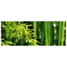 Badrückwand »Bambus«, BxH:120 cm x 45 cm, grün