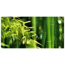 Badrückwand »Bambus«, BxH:90 cm x 45 cm, grün