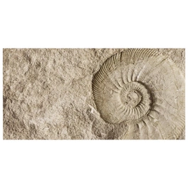 Badrückwand »Fossil«, BxH:90 cm x 45 cm, beige