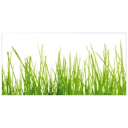 Badrückwand »Gras«, BxH:120 cm x 45 cm, grün