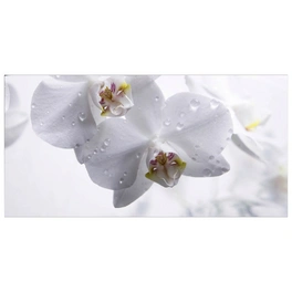 Badrückwand »Orchid«, BxH:90 cm x 45 cm, weiß