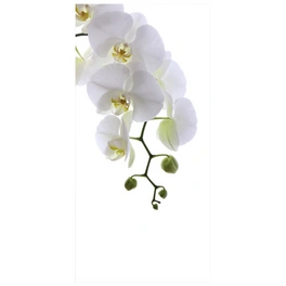 Badrückwand »Orchid Phala«, BxH:100 cm x 210 cm, weiß