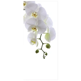 Badrückwand »Orchid Phala«, BxH:90 cm x 210 cm, weiß
