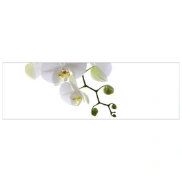 Badrückwand »Orchidee Phala«, BxH:140 cm x 45 cm, weiß