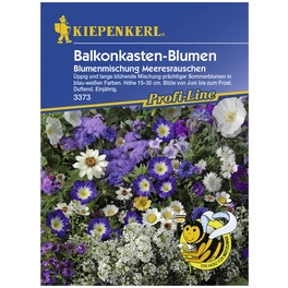 Balkonkastenblumen-Mischung, Samen, Blüte: mehrfarbig