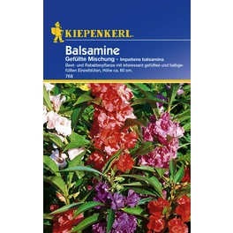 Balsamine »Gefüllte Mischung«, ca. 50 Pflanzen