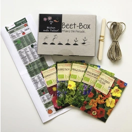 Beet-Box 