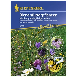 Bienenfutterpflanze, »Mischung«, Samen, Blüte: mehrfarbig