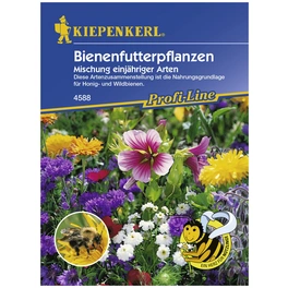 Bienenfutterpflanze, Samen, Blüte: mehrfarbig