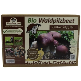 Bio Waldpilzbeet Braunkappe, für den Garten
