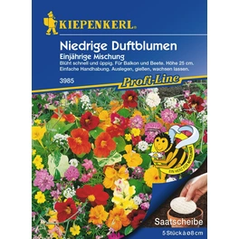 Blumenmischung »Niedrige Duftblumen«, 5 Saatscheiben