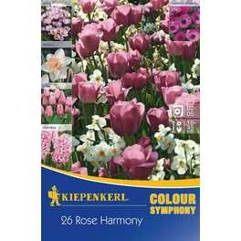 Blumenmischung »Rose Harmony«, 26 Stück