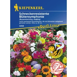 Blumenmischung »Schneckenresistente Blütensymphonie«, ca. 2 m²