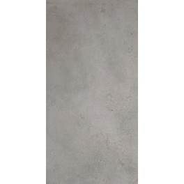 Bodenfliese »Elba«, BxLxS: 31 x 62 x 0,74 cm, Feinsteinzeug, grau