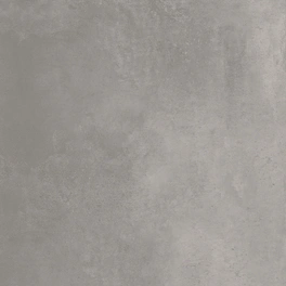Bodenfliese »Elba«, BxLxS: 60 x 60 x 0,95 cm, Feinsteinzeug, grau