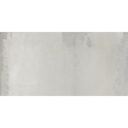Bodenfliese, Feinsteinzeug, BxL: 30 x 60 cm, greige