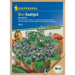 Boretsch, Borago officinalis »Linsen«, , reicht für: ca. 40 Pflanzen