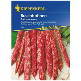 Buschbohne vulgaris var. nanus Phaseolus »Borlotto Rosso«