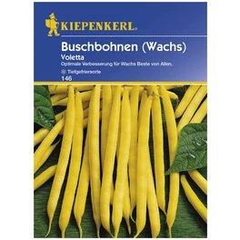 Buschbohne vulgaris var. nanus Phaseolus »Voletta«