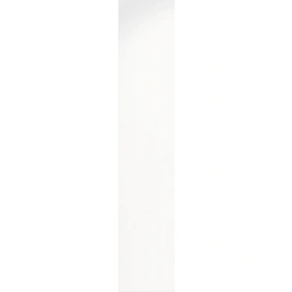 Dekorpaneele »Monte Blanca«, weiß, foliert, Holz, Stärke: 10 mm, mit Rundfuge