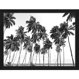 Digitaldruck »Kokospalmen«, Rahmen: Buchenholz, Schwarz