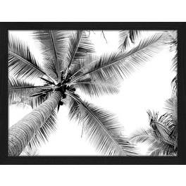 Digitaldruck »Palmen«, Rahmen: Buchenholz, Schwarz