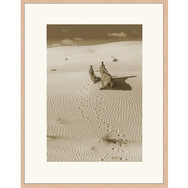 Digitaldruck »Wandern in der Wüste«, Rahmen: Buchenholz, natur