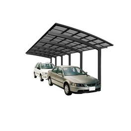 Doppelcarport »Portoforte«, Typ 110, Außenmaß BxT: 270,4 x 982,6 cm, schwarz