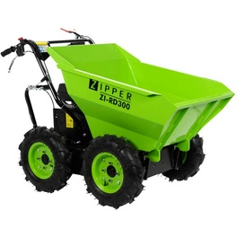 Dumper »ZI-RD300«, 4100W, 125l, grün