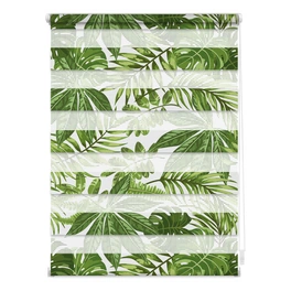 Duo-Rollo, Klemmfix, B x L: 45 x 150 cm, Blätter, grün