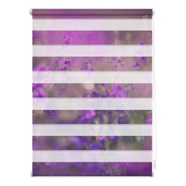 Duo-Rollo, Klemmfix, B x L: 60 x 150 cm, Blumenwiese, fuchsia violett