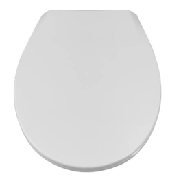 WC-Sitz, mit Absenkautomatik, BxHxL: 37,2 x 4,8 x 43 cm, weiß