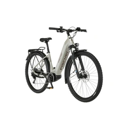 E-All Terrain-Bike »TERRA 4.0i«, 29 Zoll, RH: 43 cm, 10-Gang