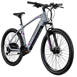 E-Bike 27,5 Zoll, RH: 48 cm, 27-Gang
