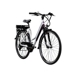 E-Bike 28 Zoll, RH: 48 cm, 21-Gang