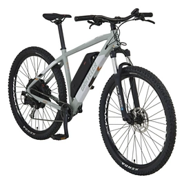 E-Bike »Graveler«, 29 Zoll, RH: 48 cm, 9-Gang