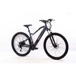 E-Bike Mountainbike 29 Zoll, RH: 48 cm, 27-Gang